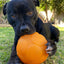 Large Buddy Ball: Durable Treat Dispensing Dog Toy for Engaging Play