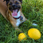 Indestructible Aussie Dog Dura Ball - Chew Proof, Lifetime Warranty, Fetch Toy