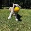 Indestructible Aussie Dog Dura Ball - Chew Proof, Lifetime Warranty, Fetch Toy