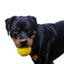 Indestructible Aussie Dog Dura Ball - Chew Proof, Lifetime Warranty, Fetch Toy