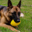 Aussie Dog Dura Footy: Ultra-Durable Rubber Dog Toy for Fetch & Play
