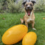Large Aussie Dog Footy Feeder: Durable Enrichment Toy for Active Dogs