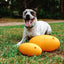 Ultimate Small Footy Feeder: Interactive Treat Dispensing Dog Toy