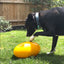 Large Aussie Dog Footy Feeder: Durable Enrichment Toy for Active Dogs