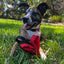 Durable Love Tug Dog Toy for Interactive Play and Training