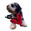 Durable Love Tug Dog Toy for Interactive Play and Training