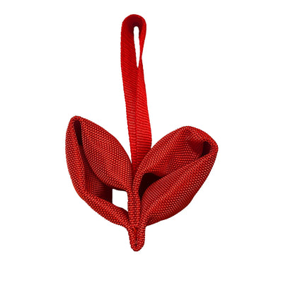Durable Love Tug Dog Toy for Interactive Play and Training