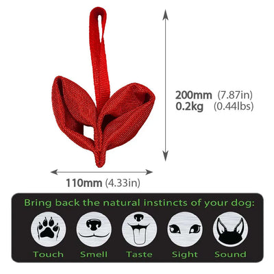 Durable Love Tug Dog Toy for Interactive Play and Training