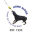 Aussie Dog Home Alone Small Interactive Play Toy for Solo Dogs