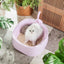 Michu Macaron Extra Large High‑Edge Open Style Cat Litter Box
