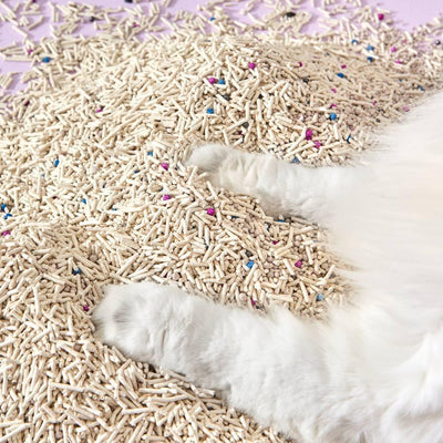 Michu Mixed Tofu Cat Litter Pro Gen2 5kg Value Box