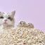 Michu Mixed Tofu Cat Litter Pro Gen2 5kg Value Box