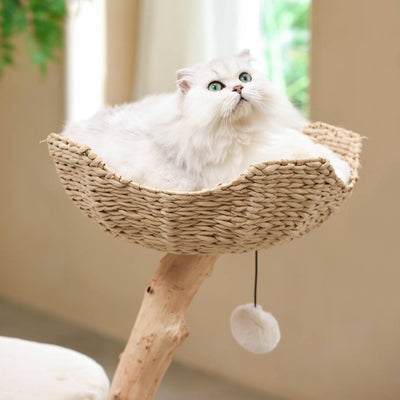 Michu Premium Real Wooden Cat Tree Medium Spacious Australian Feline Haven