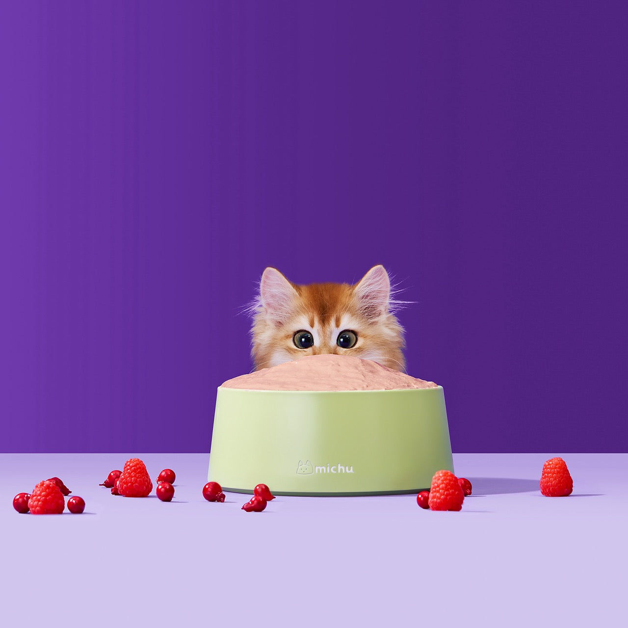 Michu Rainbow Mousse Wet Cat Food 5-Flavour Variety Pack