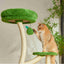 Michu Verde Modern Solid Wood Cat Tree: Multi-Level, Cozy Pear Nest
