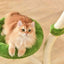Michu Verde Modern Solid Wood Cat Tree: Multi-Level, Cozy Pear Nest