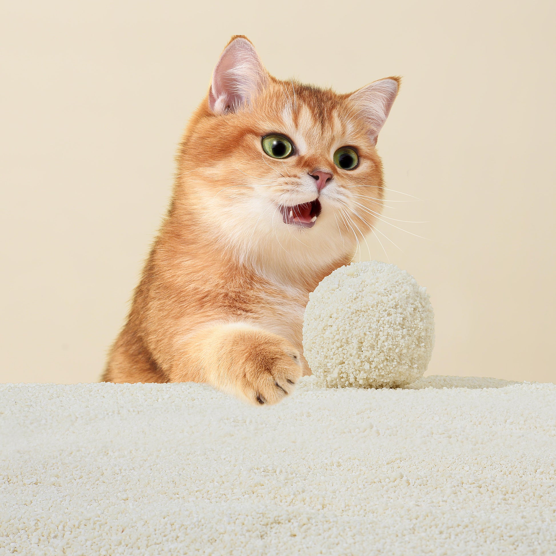 Michu Wonder Plant-Based Automatic Box Friendly Cat Litter 2.5kg