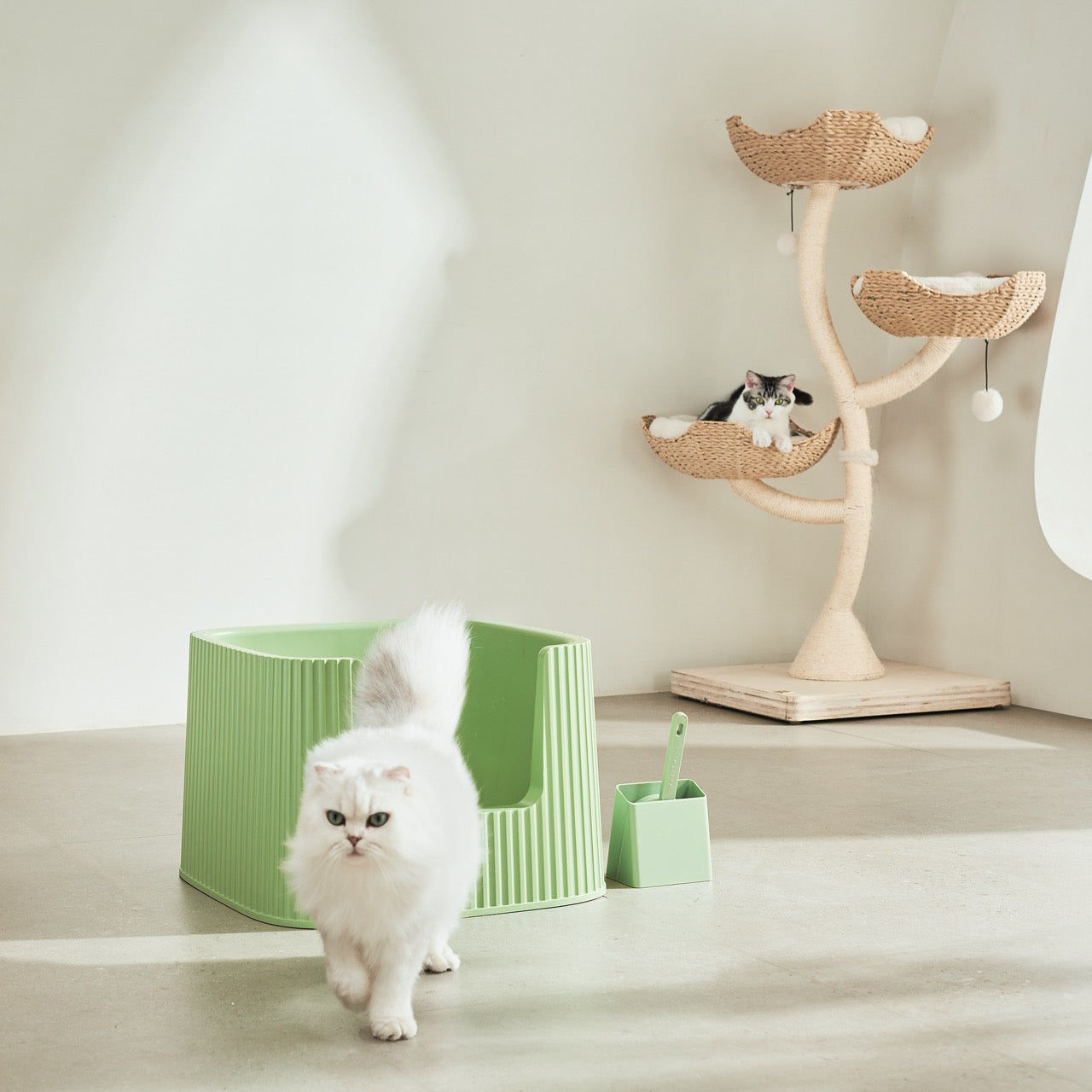 Michu XXL Sage Deluxe Spacious Cat Litter Box