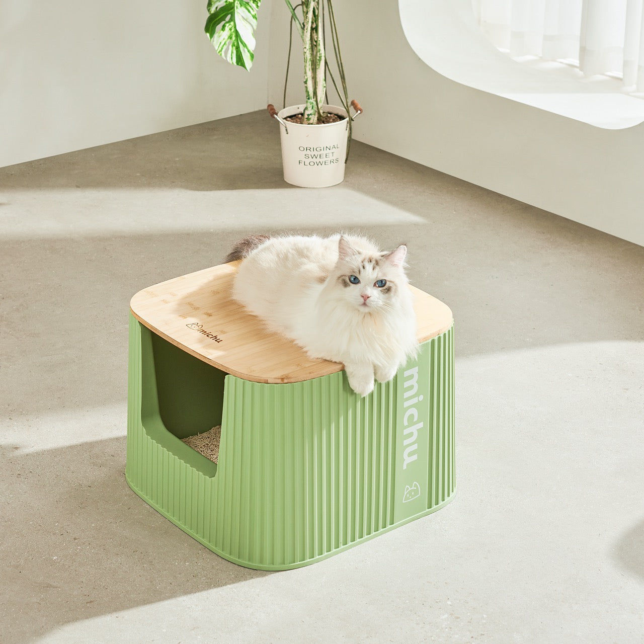 Michu XXL Sage Deluxe Spacious Cat Litter Box