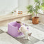 Michu XXL Stella Deluxe Spacious Cat Litter Box with Lid