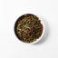 MICHU Soil-Free Cat Grass Kit with Australian Seed