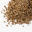 Michu Cat Grass Seed Pack – Lush Healthy Snack
