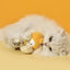 Silver Vine Stick Interactive Plush Cat Toy – Happy Tempura & Cupcake