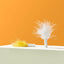Michu Interactive Feathered Rechargeable Cat Toy Box Automatic Play