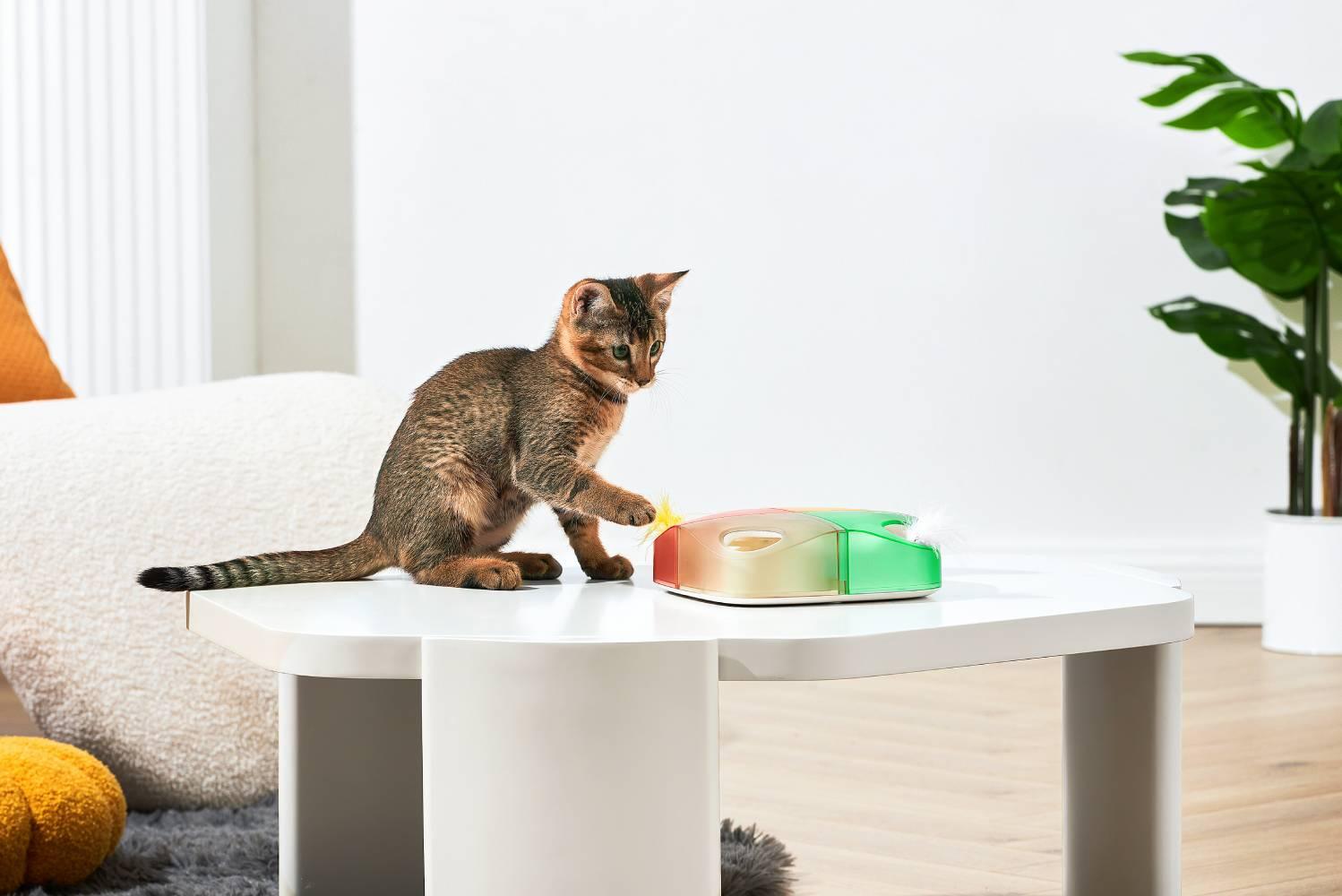 Michu Interactive Feathered Rechargeable Cat Toy Box Automatic Play