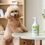 Michu Catnip Pet Shampoo 500ml – Soothing Shine for Dogs