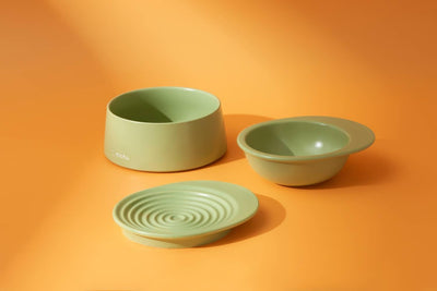 Premium Raised Ceramic Cat Bowl Set in Barley White