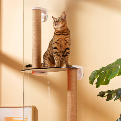Michu Cloud-Shaped Window Cat Tree with Scratchpost & Perch