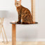Michu Cloud-Shaped Window Cat Tree with Scratchpost & Perch