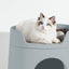 Michu XL Castle Semi-Closed Cat Litter Box with Scratch Pad