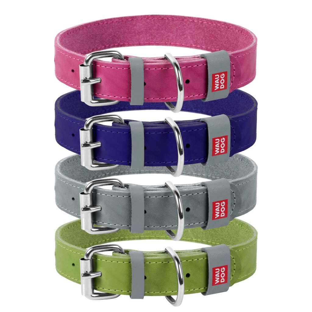 WAUDOG Classic Leather Dog Collar - Durable, Stylish, Comfortable, Large