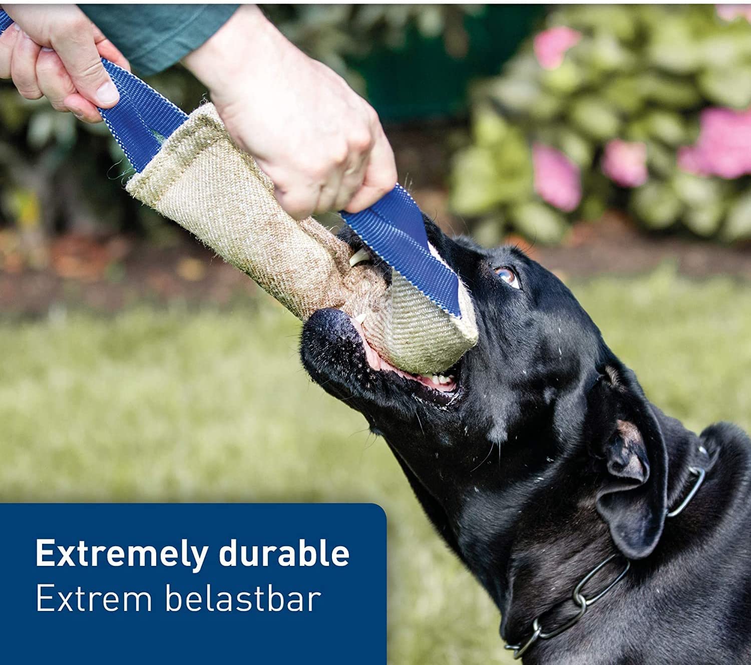 Premium Jute Tug Toy for Dogs: Durable, Interactive, and Bite-Resistant Training Aid