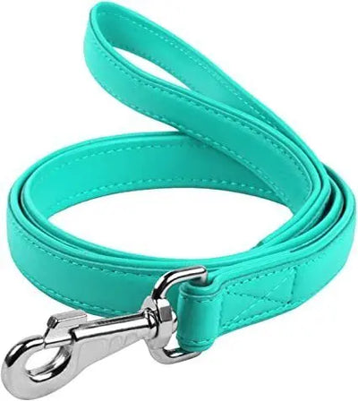 Premium Waudog Flat Leather Clip Leash 25mm for Stylish Dog Walks