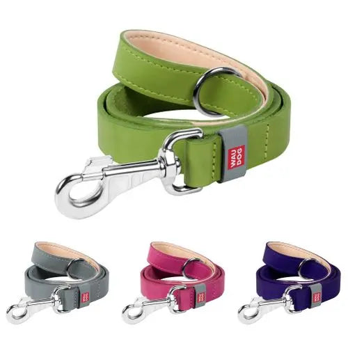 WAUDOG Classic Black Leather Clip Dog Leash - Durable & Stylish 25mm Wide