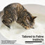 Pidan Cassava Cat Litter 2.4kg 6L: Odour Control, Quick Clumping, Flushable, Eco-Friendly