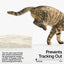 Pidan Cassava Tofu Cat Litter 2.4kg 6L: Natural, Odourless, and Flushable