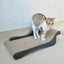 Zodiac Cat Scratcher Beach Chair: Durable, Fun, and Relaxing for Feline Friends