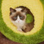 CMisstree Avocado Multi-functional Cat Scratching Post and Bed Cozy Fun