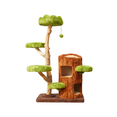 Multi-Level Solid Wood Cat Tree: Five Tier Tree Hollow Climbing Tower