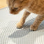Pidan Grey Cat Litter Mat: Easy Clean, Non-Slip, Traps Litter, Odour Control