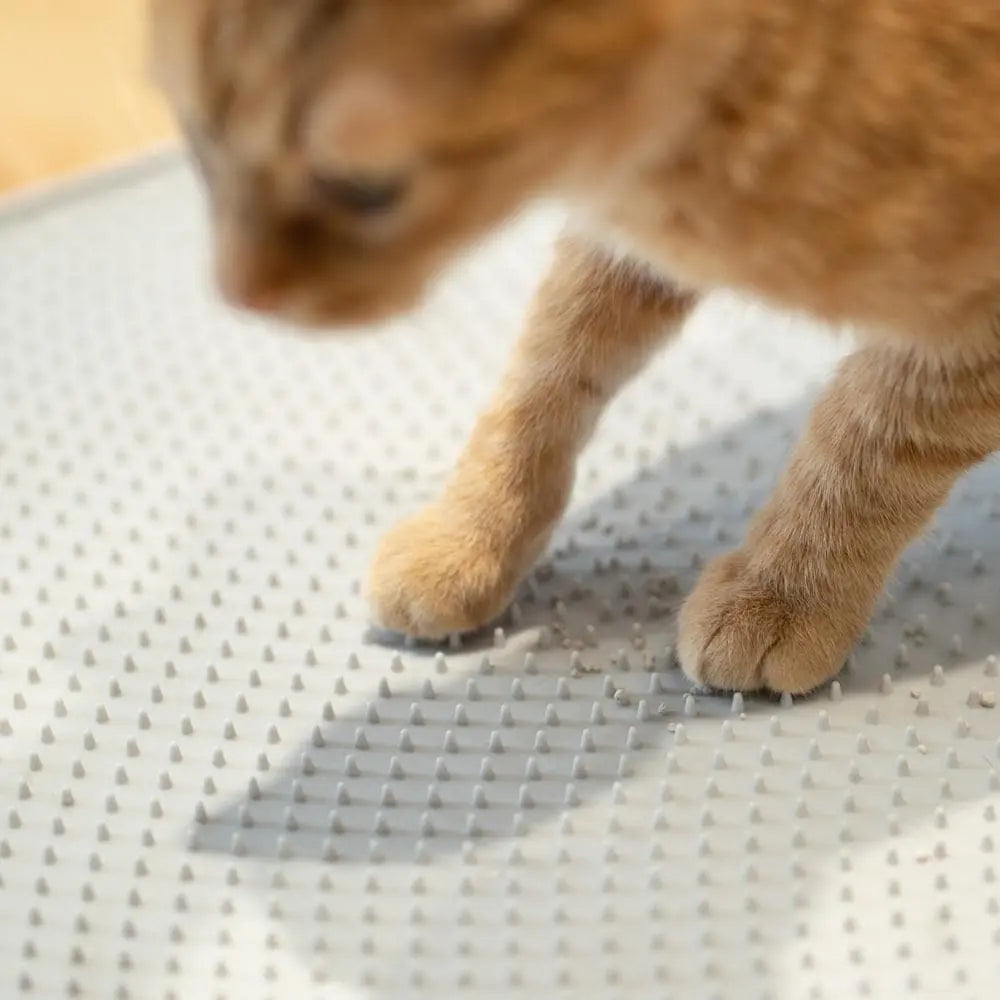 Pidan Grey Cat Litter Mat: Easy Clean, Non-Slip, Traps Litter, Odour Control