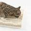 Pidan Composite Cat Litter 7L: Odour-Control Tofu, Bentonite & Starch Blend