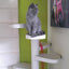 Monkee Tree - The Scalable Cat Climbing Ladder 18 Trunk Starter Pack Black