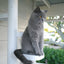 Monkee Tree for Cats - 18 Trunk Starter Pack