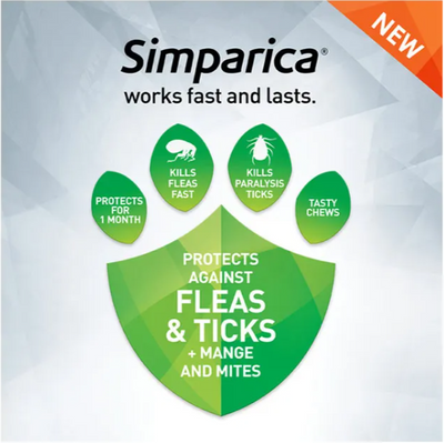 Simparica 20.1-40Kg 80Mg 3 Pk Large Dog Green
