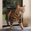Transcat Clear Cat Door Small 4-Way Locking Door - 180mm Flap Width